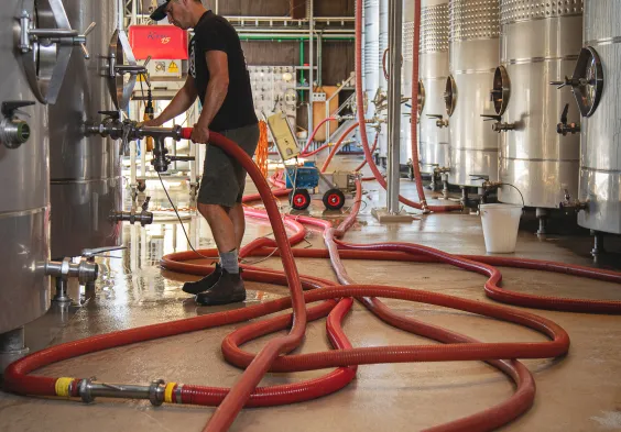 Dog Point Murray hoses