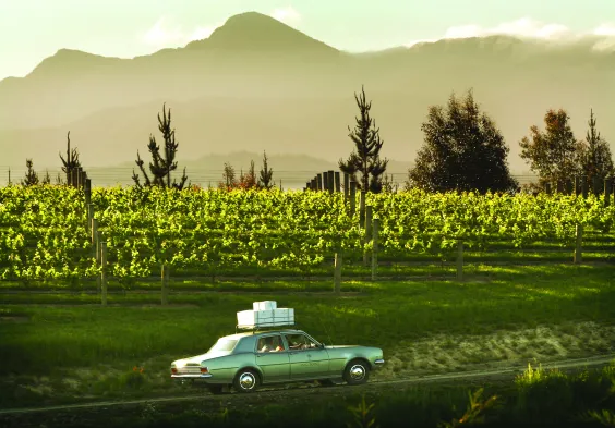 Dog Point The Dog Point Mobile