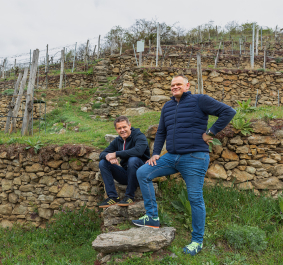 DomaeneWachau v2