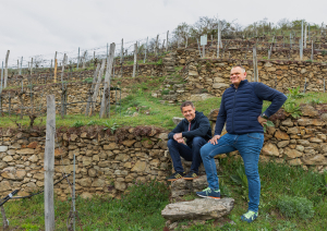 DomaeneWachau v2