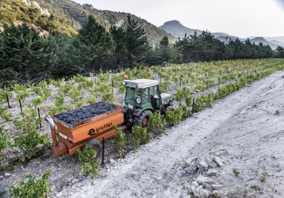 Domaine CAYRON 170215