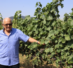 Enrico Gatti