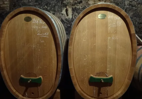 Ernst Triebaumer (10)