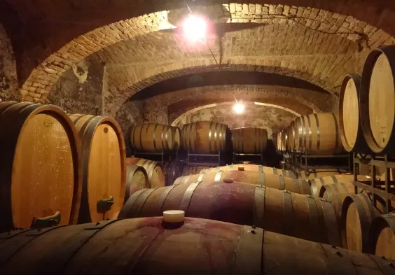 Ernst Triebaumer (11)