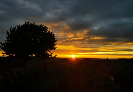 Ernst Triebaumer (18)