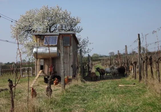 Ernst Triebaumer (8)