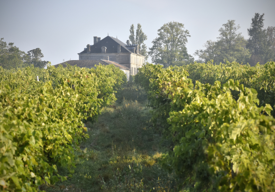 Fillioux (12)