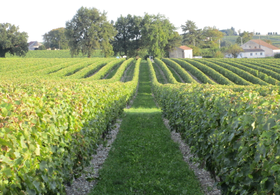 Fillioux (17)