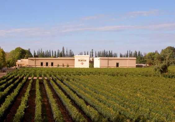 Finca Perdriel 4
