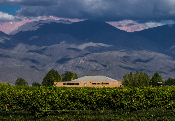 Finca Sophenia (1)