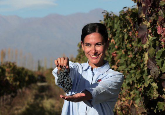 Finca Sophenia (2)