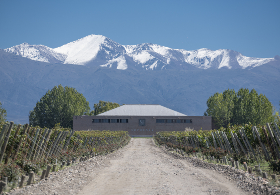 Finca Sophenia (8)