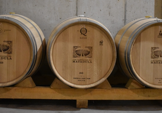 Finca de la Rica Faesser Matadula