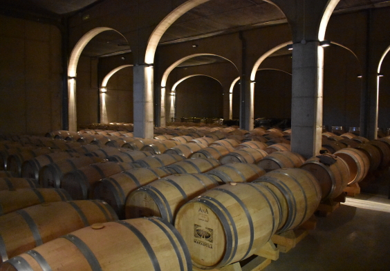 Finca de la Rica Fasskeller