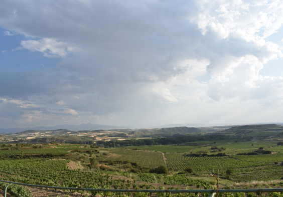 Finca de la Rica Landschaft