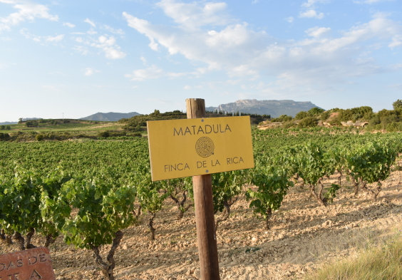 Finca de la Rica Matadula