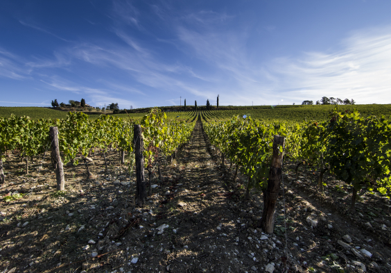 Frescobaldi (11)