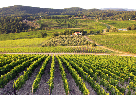 Frescobaldi (13)