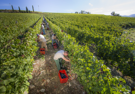 Frescobaldi (20)