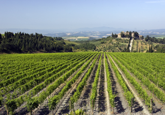 Frescobaldi (3)