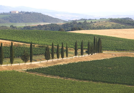 Frescobaldi (8)