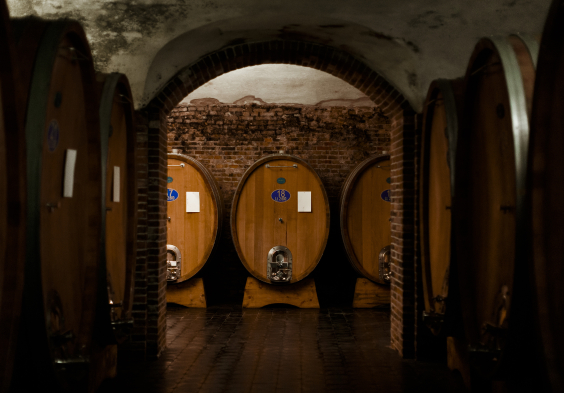 Gaja (2)