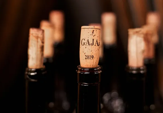 Gaja 2022 Korken