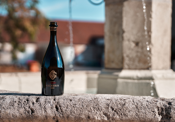 Gosset 2022 Flasche (2)