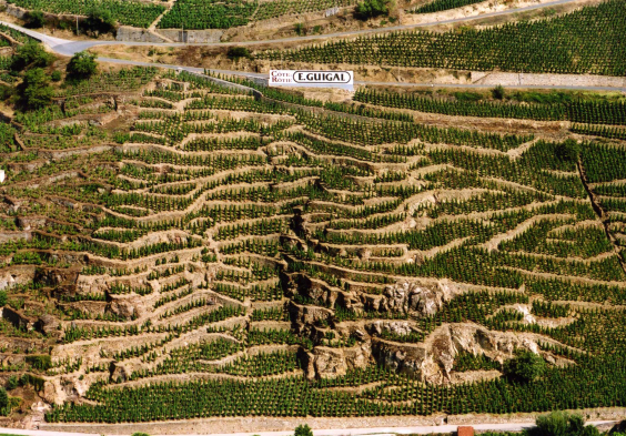 Guigal Cote Rotie La Mouline 2