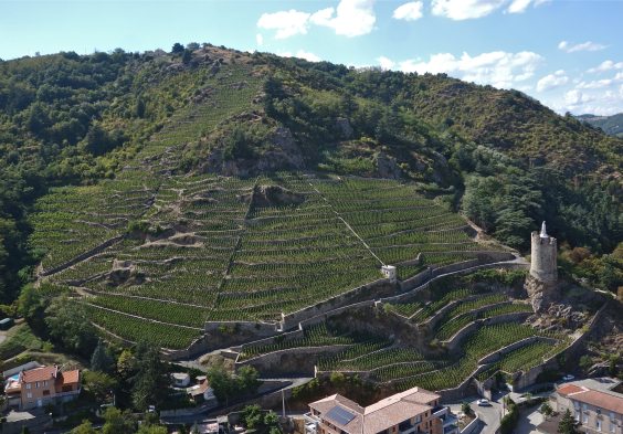Guigal VINEYARDS 7