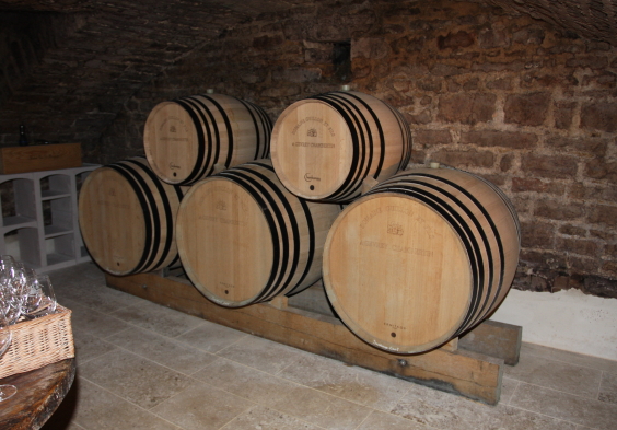 Guillon (14)