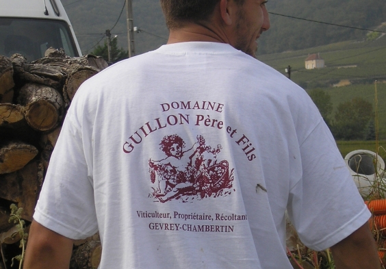 Guillon (8)