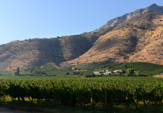 Haras de Pirque (1)