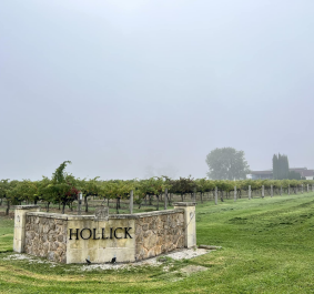 Hollick