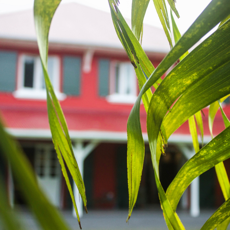 J.m Rhum factory