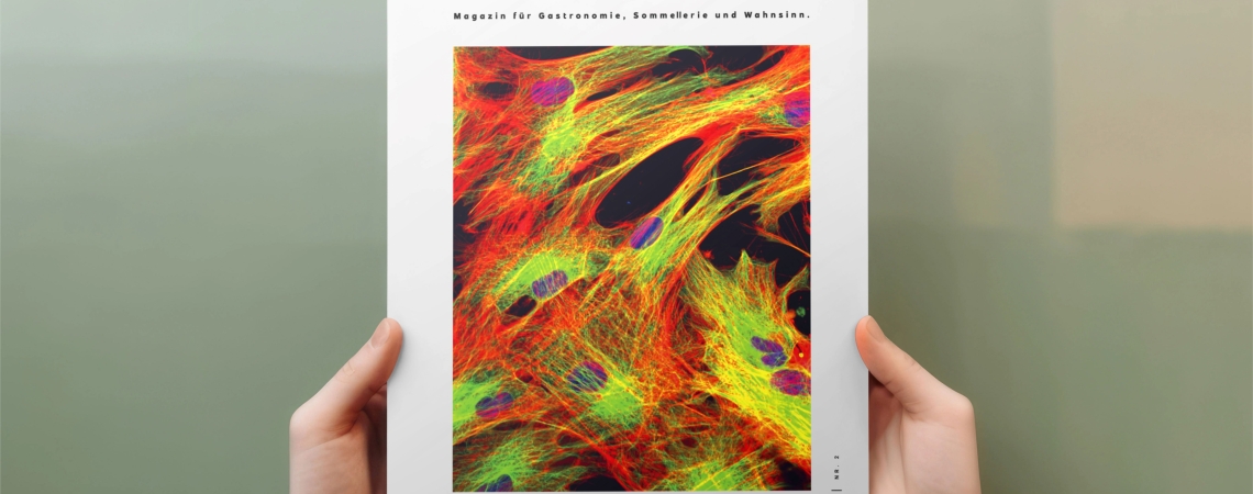 Magazin mit buntem abstraktem Cover in einer neutralen Hintergrundszene.