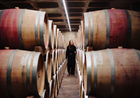 Kanonkop Tasting Room 3