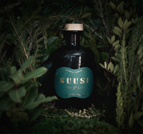 Kuusi