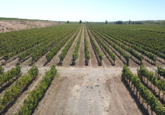 Lagravera weingut 01