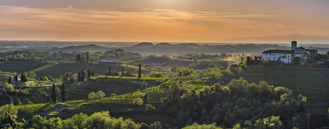Livio Felluga Landscape Rosazzo 