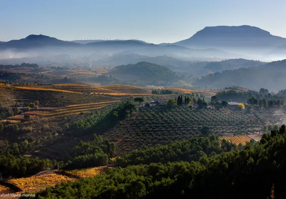 Mas den Gil Aerial view estate
