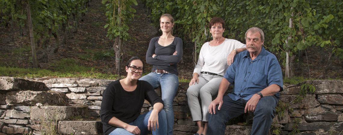 Vier Menschen sitzen vor grünen Weinreben auf einer Steintreppe.
