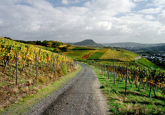 Meyer Naekel Neuenaher Sonnenberg mit der Landskrone und Ahrtalbruecke im Hintergrund