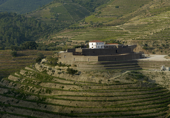 Niepoort 12