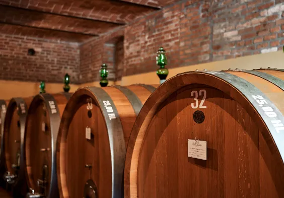 Olim Bauda Faesser 2023