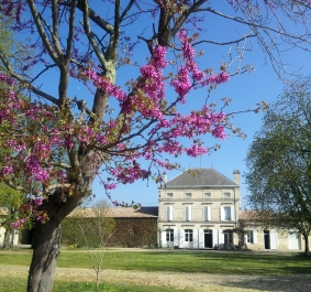 PLINCE en COULEUR