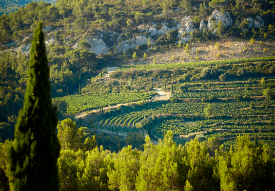 Pibarnon (4)