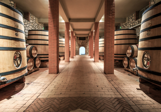 Poliziano (1)