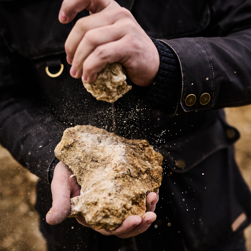 Polz Grassnitzberg Terroir