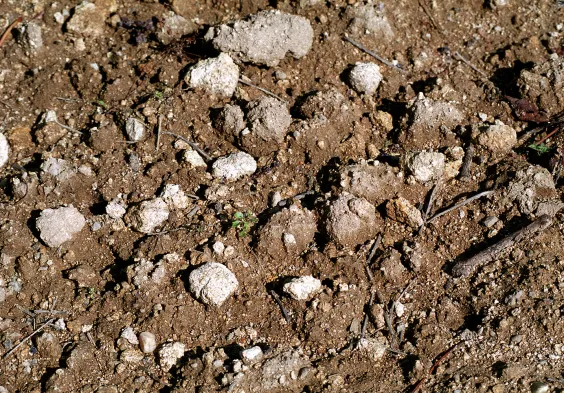 Prieler marienthal terroir